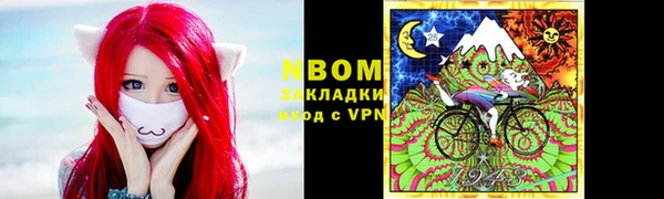 PSILOCYBIN Михайлов