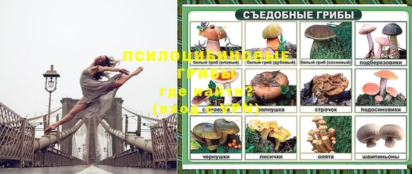 мескалин Медвежьегорск