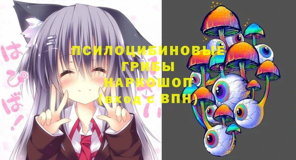 твердый Михайловка