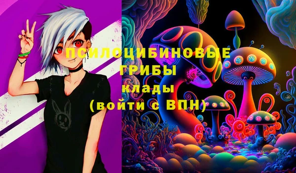 крисы Анжеро-Судженск