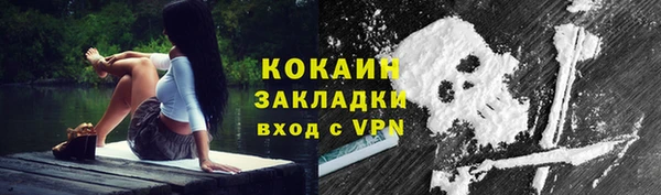 PSILOCYBIN Михайлов
