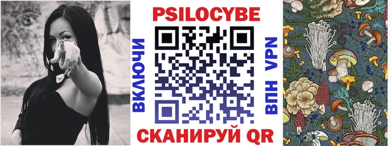 Галлюциногенные грибы Psilocybe  как найти наркотики  Кораблино 