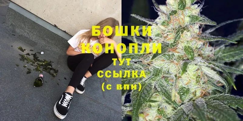 Конопля LSD WEED  где найти наркотики  Кораблино 